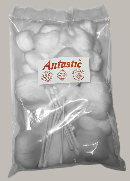 Ant Cotton Bundle XL Cotton Balls / Small Cotton Balls / QTips