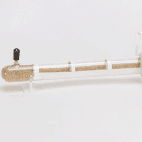 Glass Test Tube Founding Queen Ant