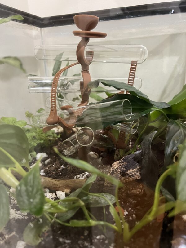 Image #1 from Courtney Macpherson