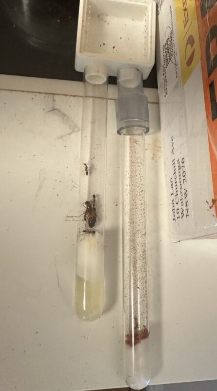 Image #1 from 约翰·兰