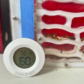 Thermometer & Hygrometer 2