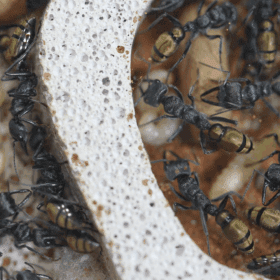 Screenshot 2025-11-29 at 4.31.51 pm