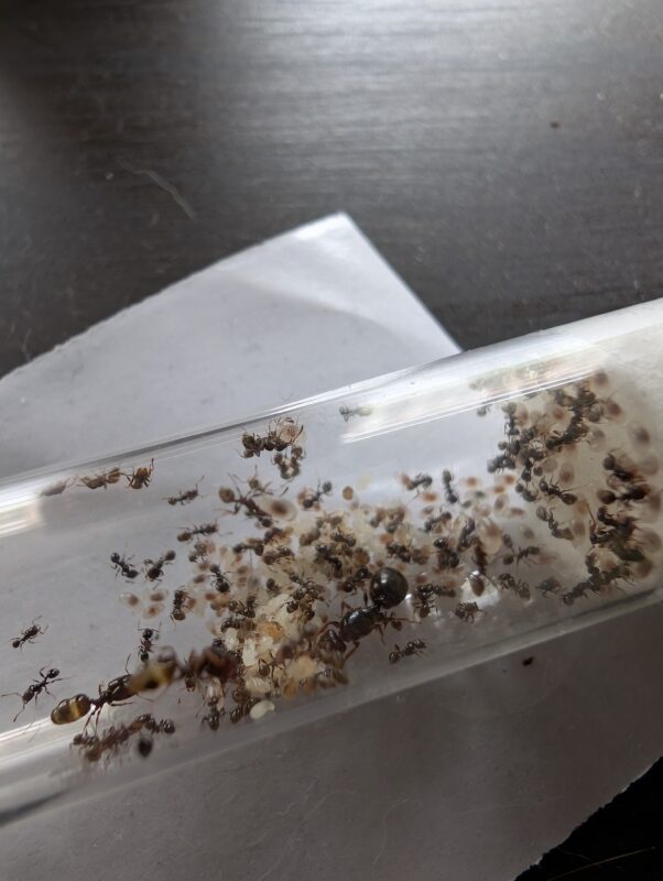 Image #1 from Gabriel L.