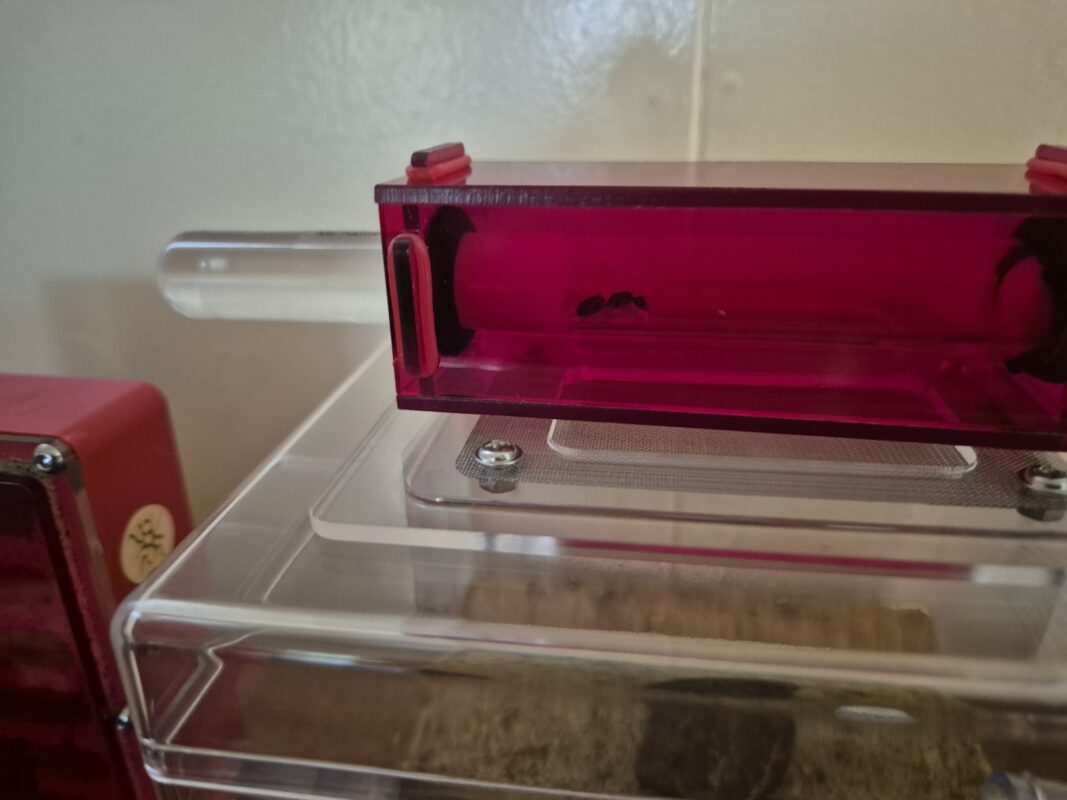 Image #1 from Gregory B.