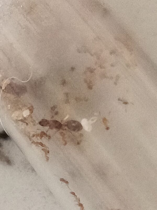 Image #1 from Anonymous