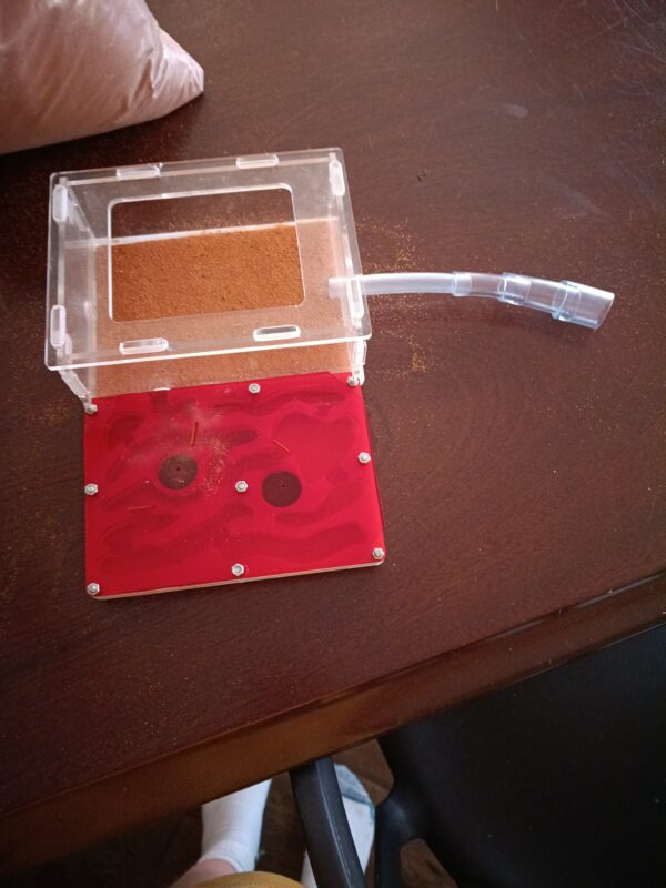 Image #1 from Anonymous