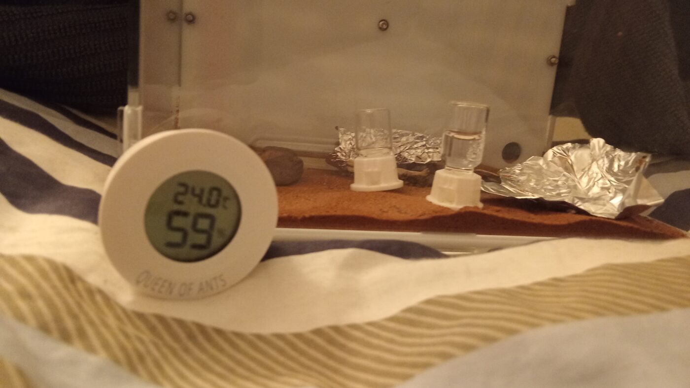 Image #1 from Julian