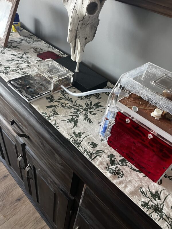 Image #1 from Trent W.