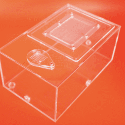 Alternative view of Medium Acrylic Outworld for Queen Ant, No Gaps- 19cm x 12cm x 9cm (Fully Made)