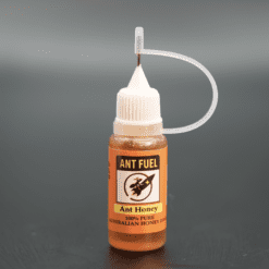 Ant Honey 10ml - Feeder Prevents Drowning