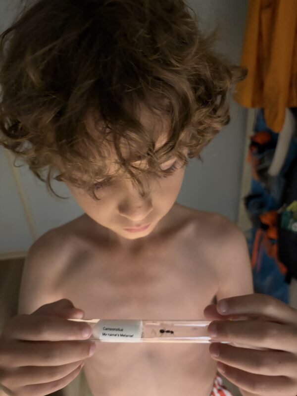 Image #1 from Meredith